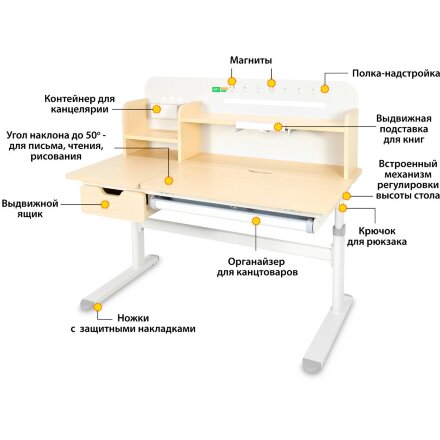 Детский стол Ergokids Bravo Maximus Plus Maple/Grey  арт. TH-360 Maximus Plus MG/G  - столешница клён / накладки на ножках серые  коробок-3 шт. 